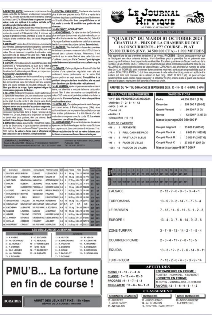 1000272781-690x1024 Analyse complète du Quinté+ du 1er octobre 2024 : Favoris, Outsiders et Stratégies pour Maximiser vos Gains